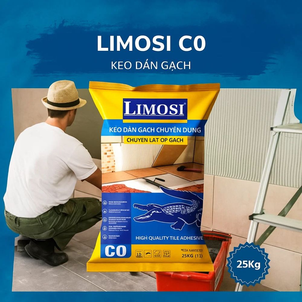 Nhà Máy LIMOSI Được Cấp Chứng Chỉ ISO 9001:2025 – Tăng Uy Tín, Mở Rộng Thị Trường