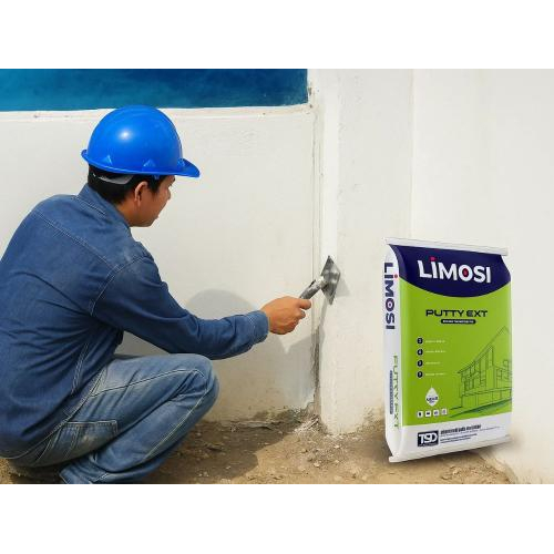 2. Tại Sao LIMOSI Lại Là Giải Pháp Kinh Tế Thông Minh?