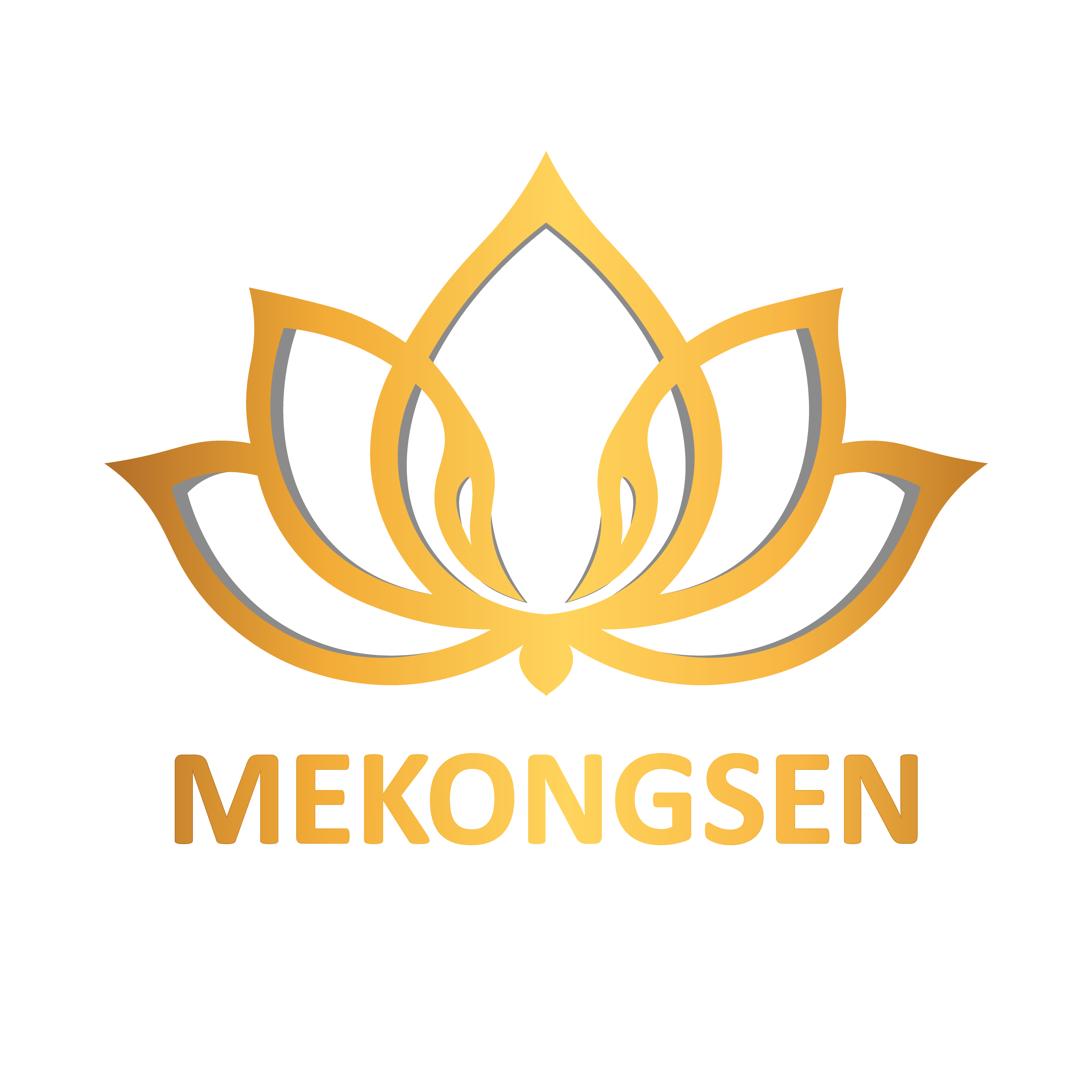 Info MekongSen