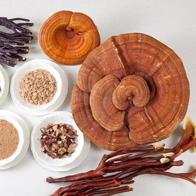 Điểm Danh Công Dụng Của Nấm Linh Chi Đối Với Sức Khỏe