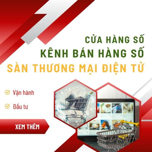 Sàn Thương Mại Điện Tử - Kênh Bán Hàng Số - Cửa Hàng Số