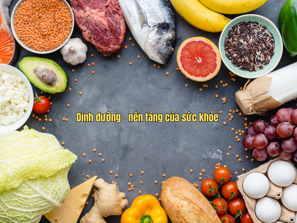 1. Dinh dưỡng – nền tảng của sức khỏe
