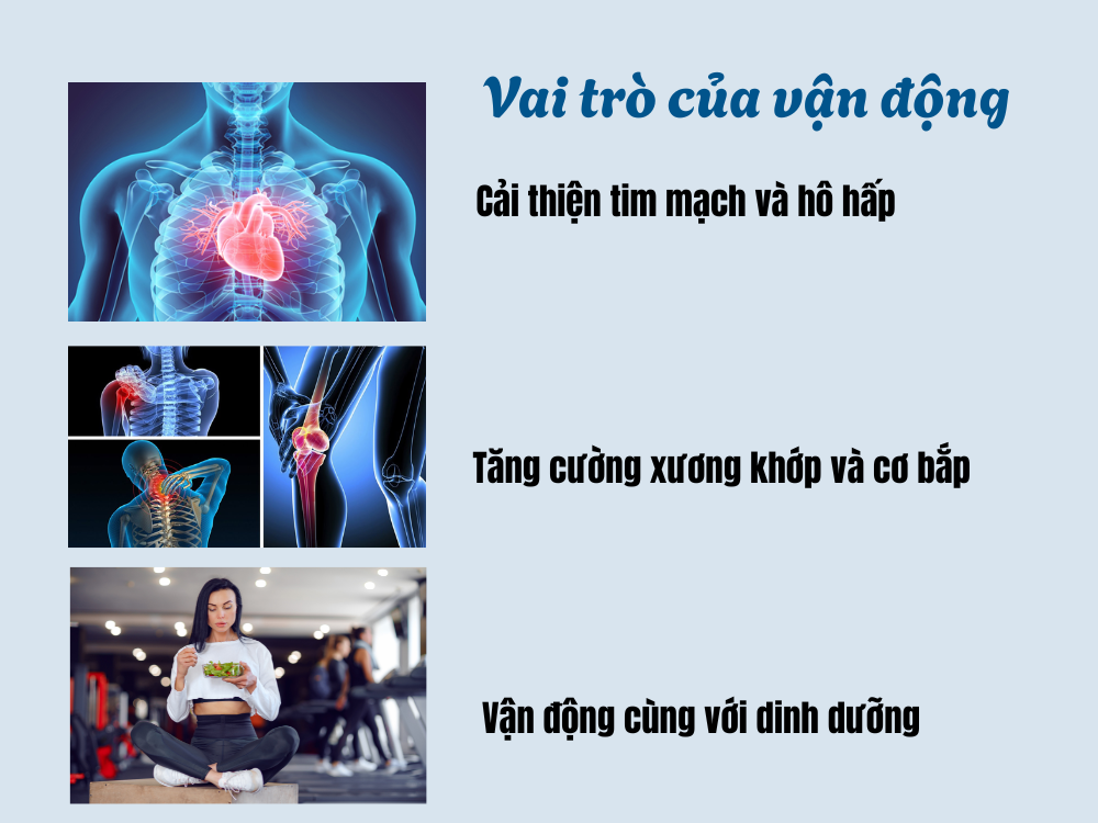 III. Vai trò của vận động trong duy trì sức khỏe