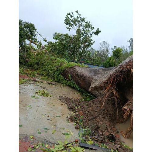Một số hình ảnh thiệt hại do bão gây ra