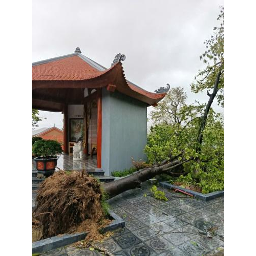 Một số hình ảnh thiệt hại do bão gây ra