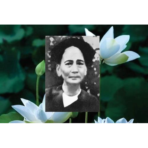 Tóm lược