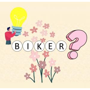 2. Cấu trúc trình bày, biểu đạt theo công thức BIKER