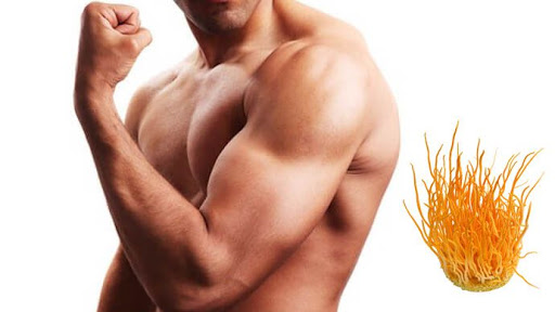 Tăng cường sức bền cơ bắp