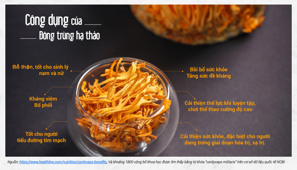 Bổ thận