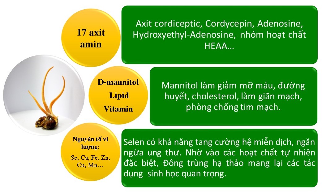Liều lượng