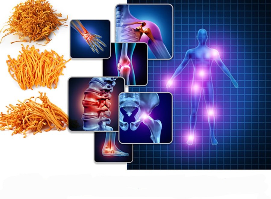 Tốt cho cấu trúc hệ xương