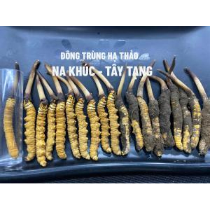 Bản chất