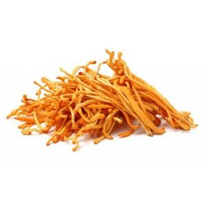 Cordycepin có tác dụng gì?