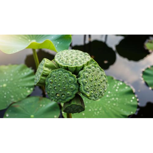 Nguyên liệu vàng trong ẩm thực chay Đồng Tháp