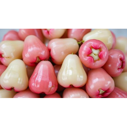 Vườn mận Hòa An - nơi khởi nguồn của vị ngọt Tết