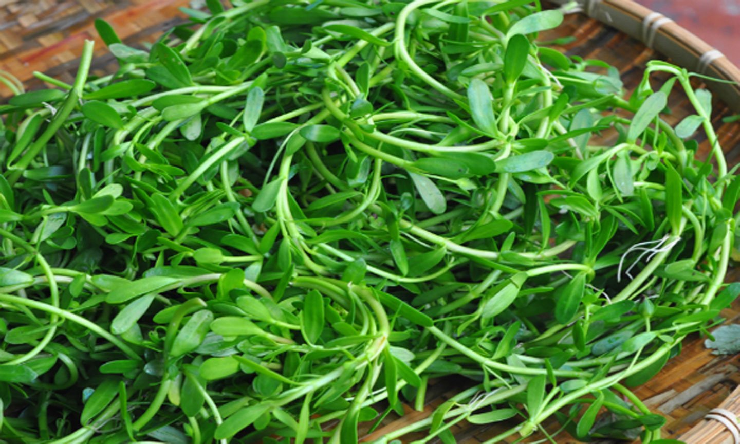 Giữ gìn hồn quê giữa phố thị