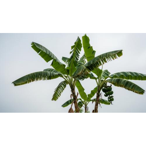 Nỗi nhớ còn đong đầy khi bếp xưa vắng bóng