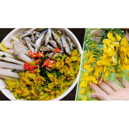 Không chỉ ngon miệng mà còn là bài thuốc quý