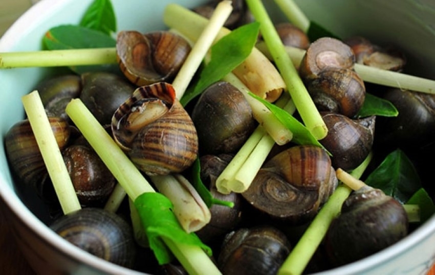 Quà tặng hào phóng của ruộng đồng mùa nước