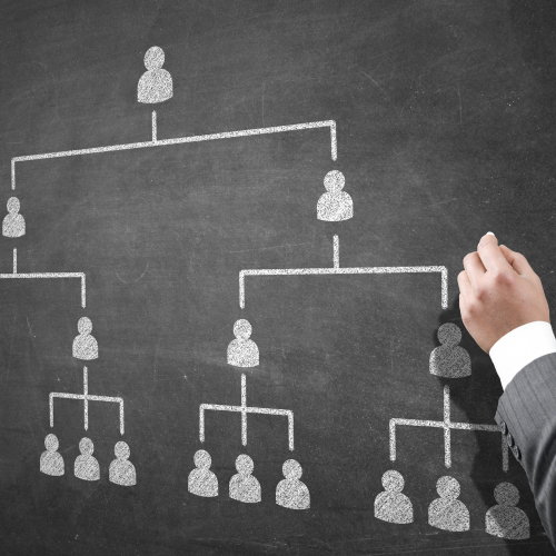 Cơ cấu tổ chức