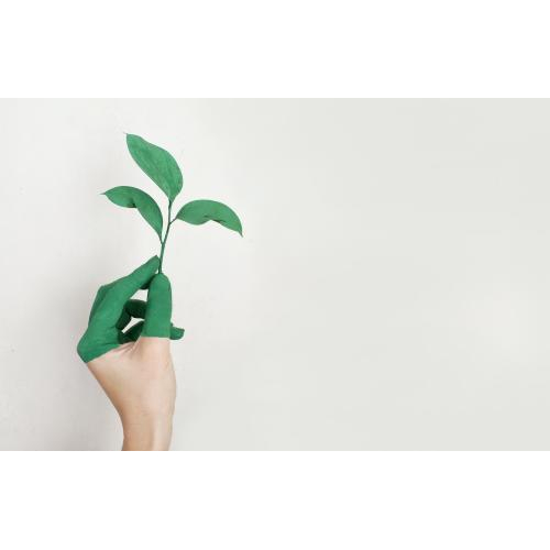 Tư duy Thiết kế cho sự bền vững