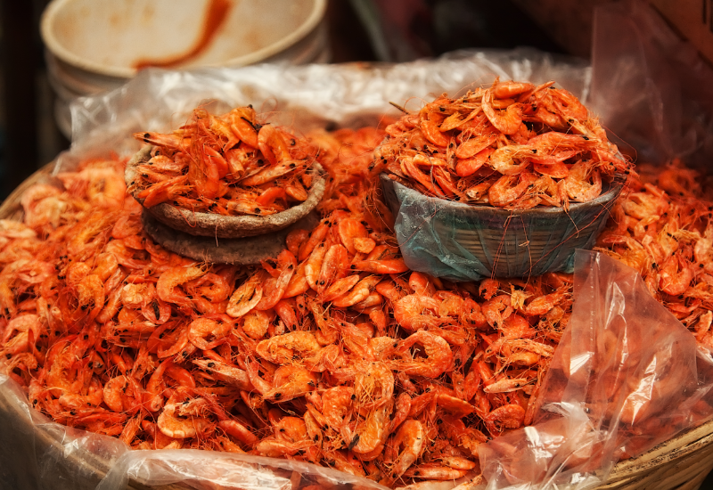 Nguồn cung cấp protein dồi dào