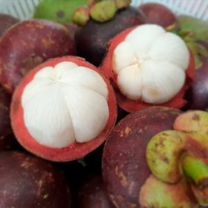 Măng Cụt – Những Viên Thạch Anh Tím Của Cần Thơ