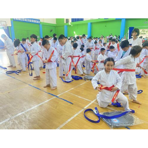 Kỳ Thi Thăng Cấp Đai Quý 1 Năm 2024 🥋