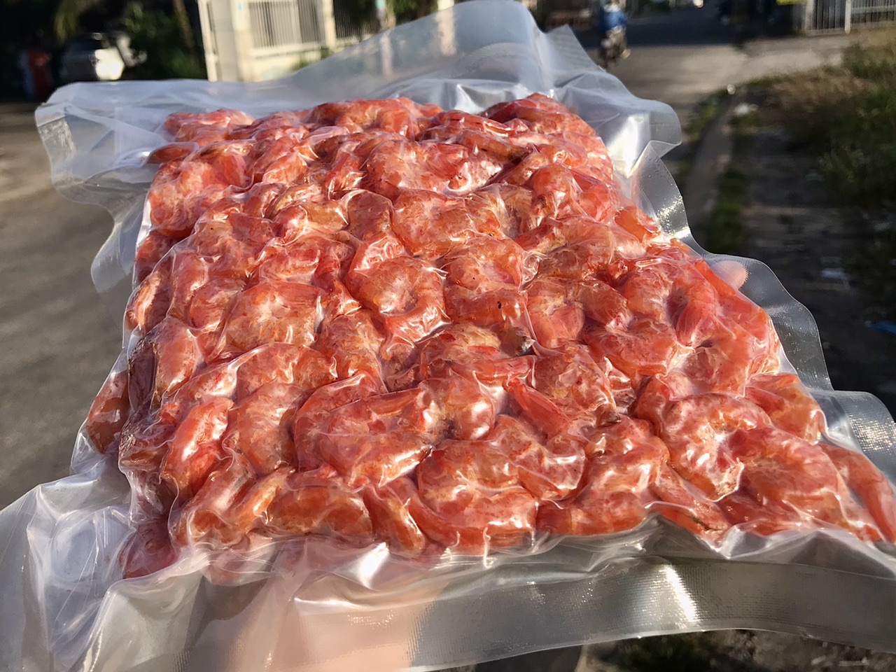 Giới Thiệu Về Tôm Khô