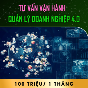 Tư Vấn Vận Hành/ Quản Lý Doanh Nghiệp 4.0 - 100 Triệu / 1 Tháng