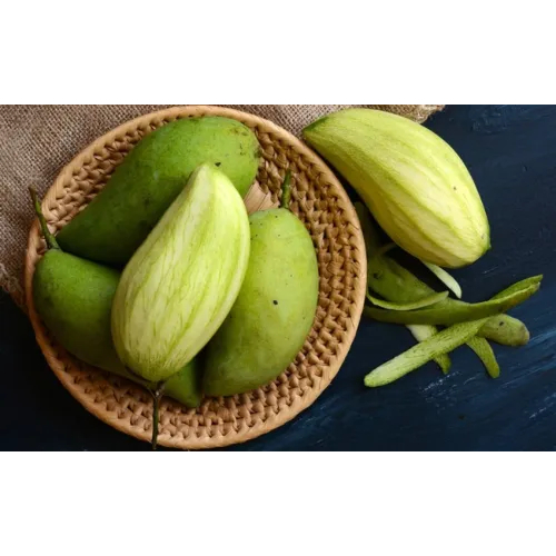 Tăng cường hệ miễn dịch và chức năng tiêu hóa