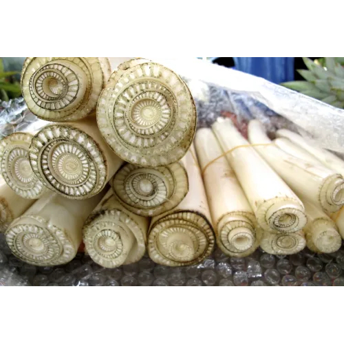 Tác dụng không ngờ được từ Thân Chuối