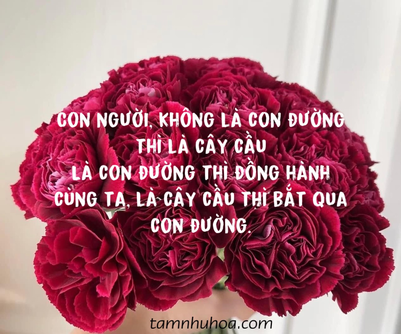 Con Người Đồng Hành Và Kết Nối