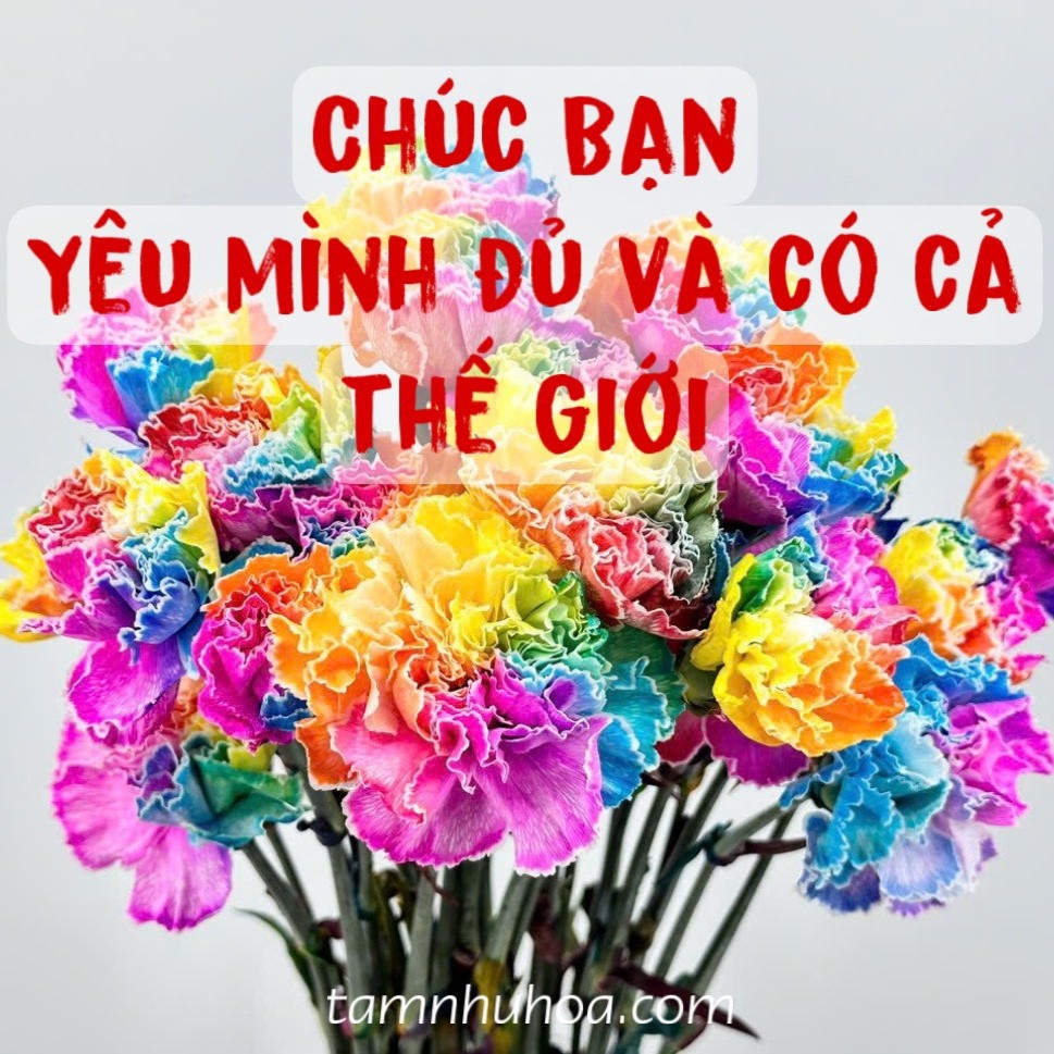 Yêu Mình Đủ Bạn Có Cả Thế Giới