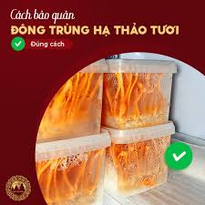1. Bảo quản Đông Trùng Hạ Thảo tươi