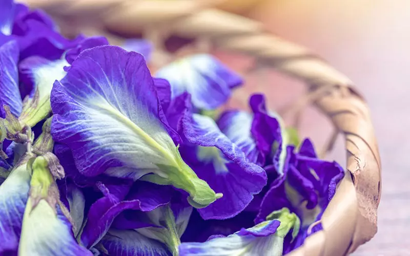 Hỗ trợ chăm sóc tóc – giảm gãy rụng tóc