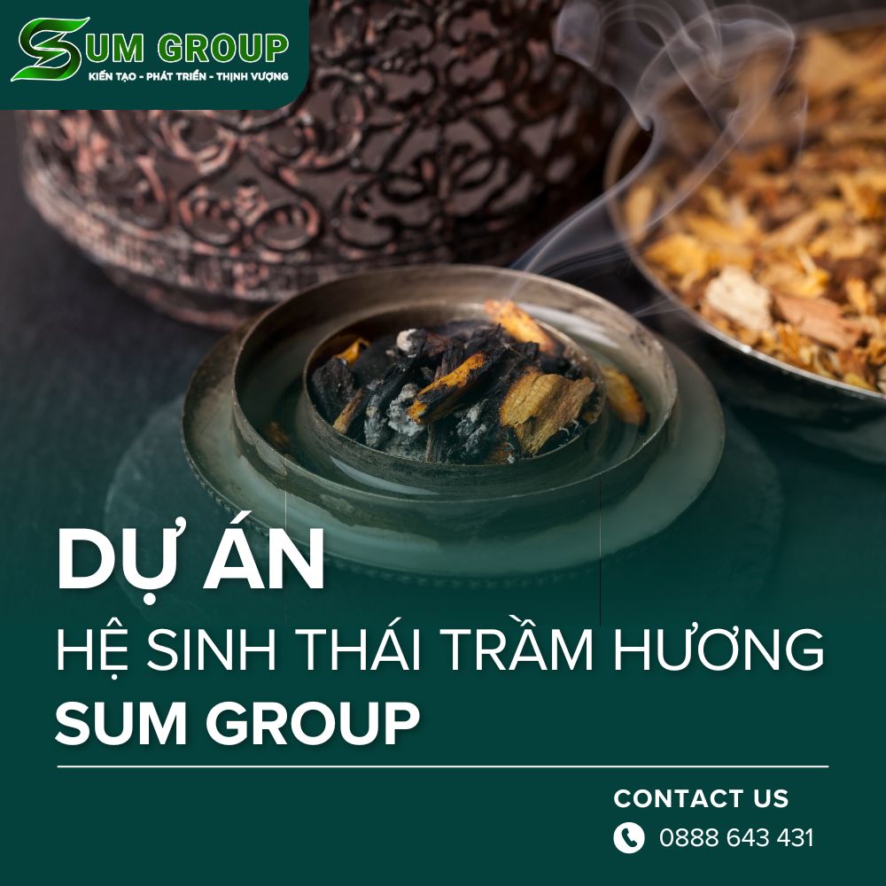 Hệ Sinh Thái Trầm Hương Sum Group