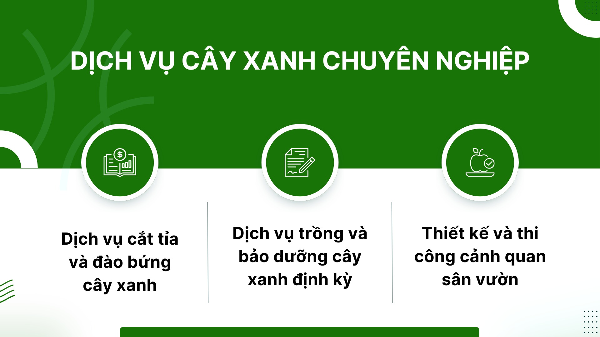 2. Dịch vụ cây xanh chuyên nghiệp