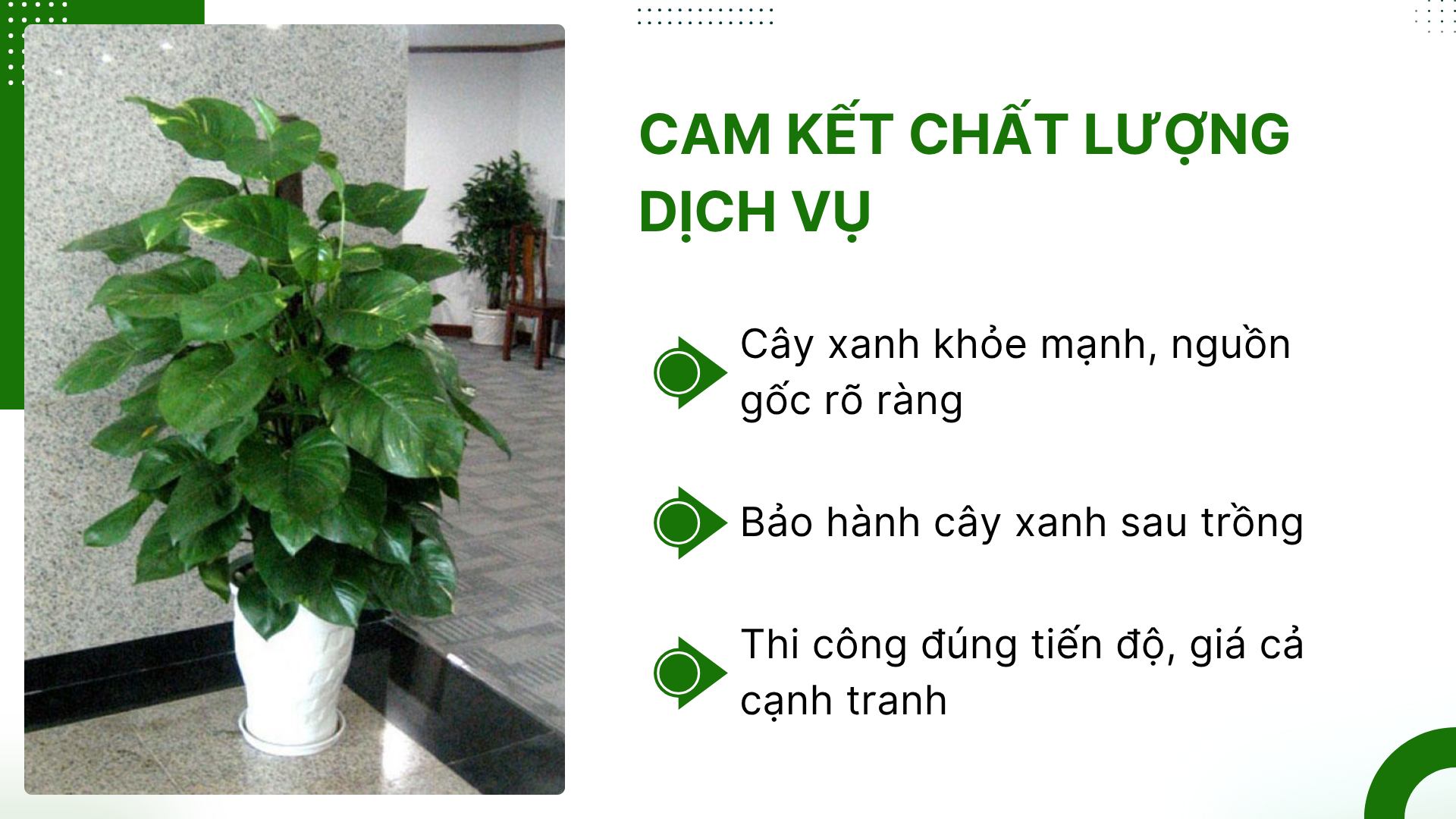 3. Cam kết chất lượng dịch vụ