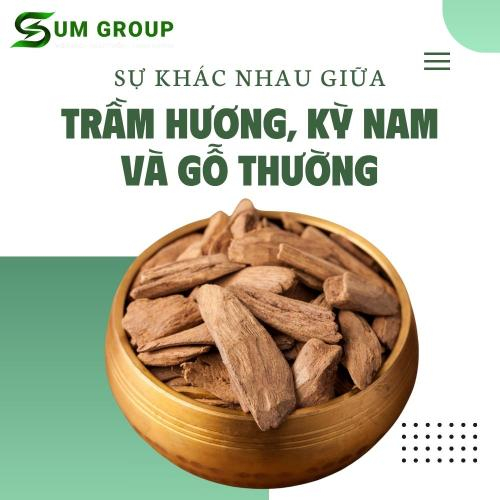 Sự Khác Nhau Giữa Trầm Hương, Kỳ Nam Và Gỗ Thường