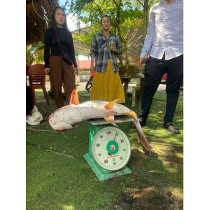 Dịch Vụ Ăn Uống Câu Cá Giải Trí