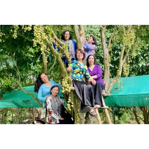 Chụp Ảnh Cùng Vườn Trái Cây Trĩu Quả