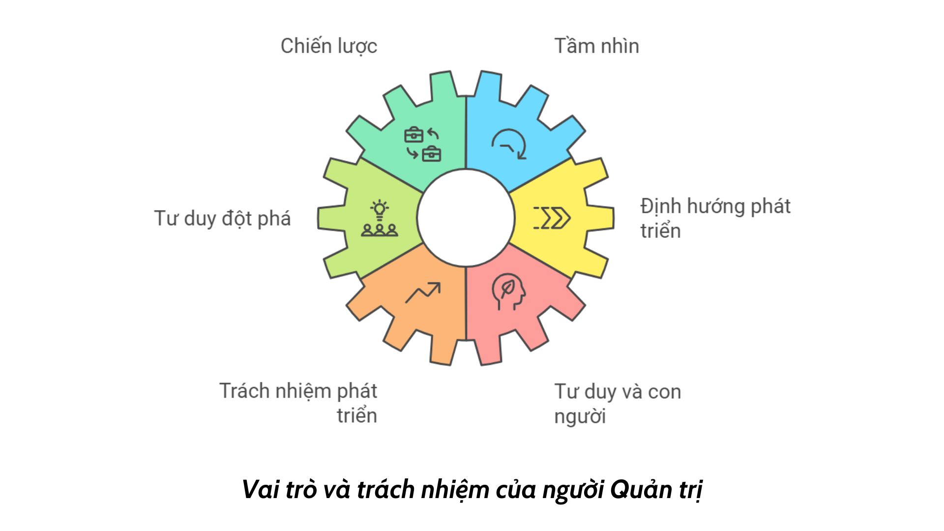 vai-tro-va-trach-nhiem-cua-quan-tri