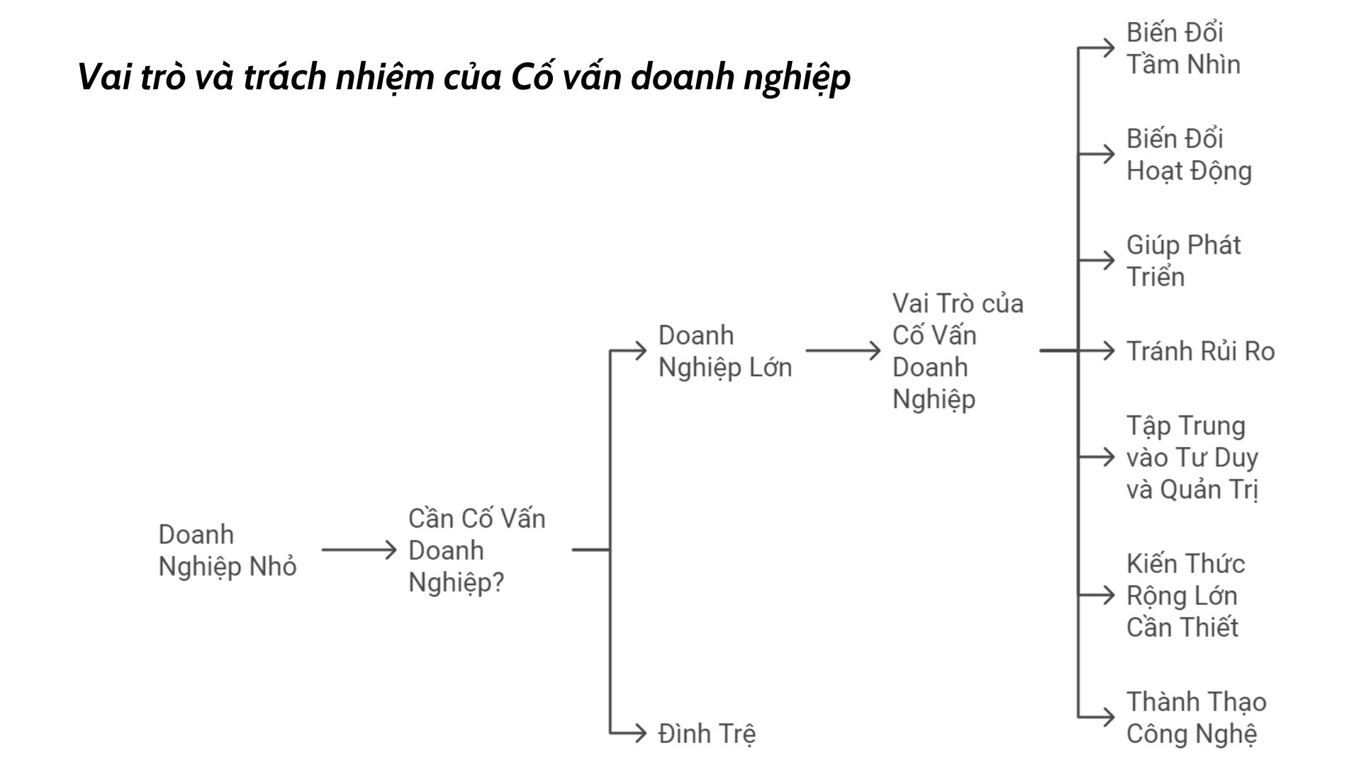 vai-tro-va-trach-nhiem-cua-co-van-doanh-nghiep