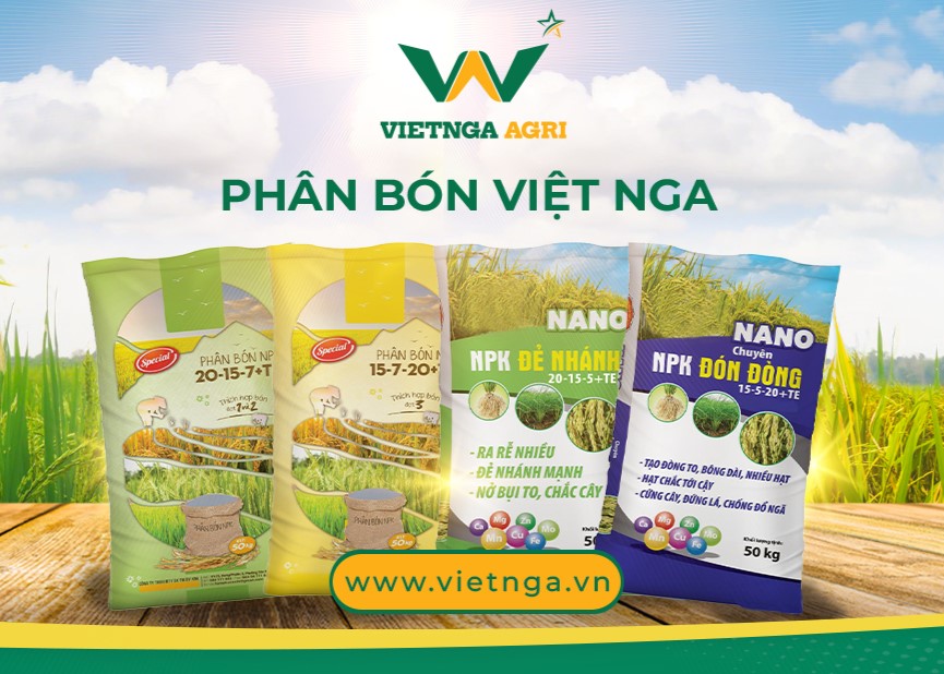 Lịch sử hình thành và phát triển