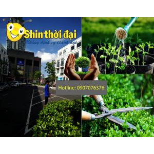 Công Ty TNHH Dịch Vụ Đất Phương Nam