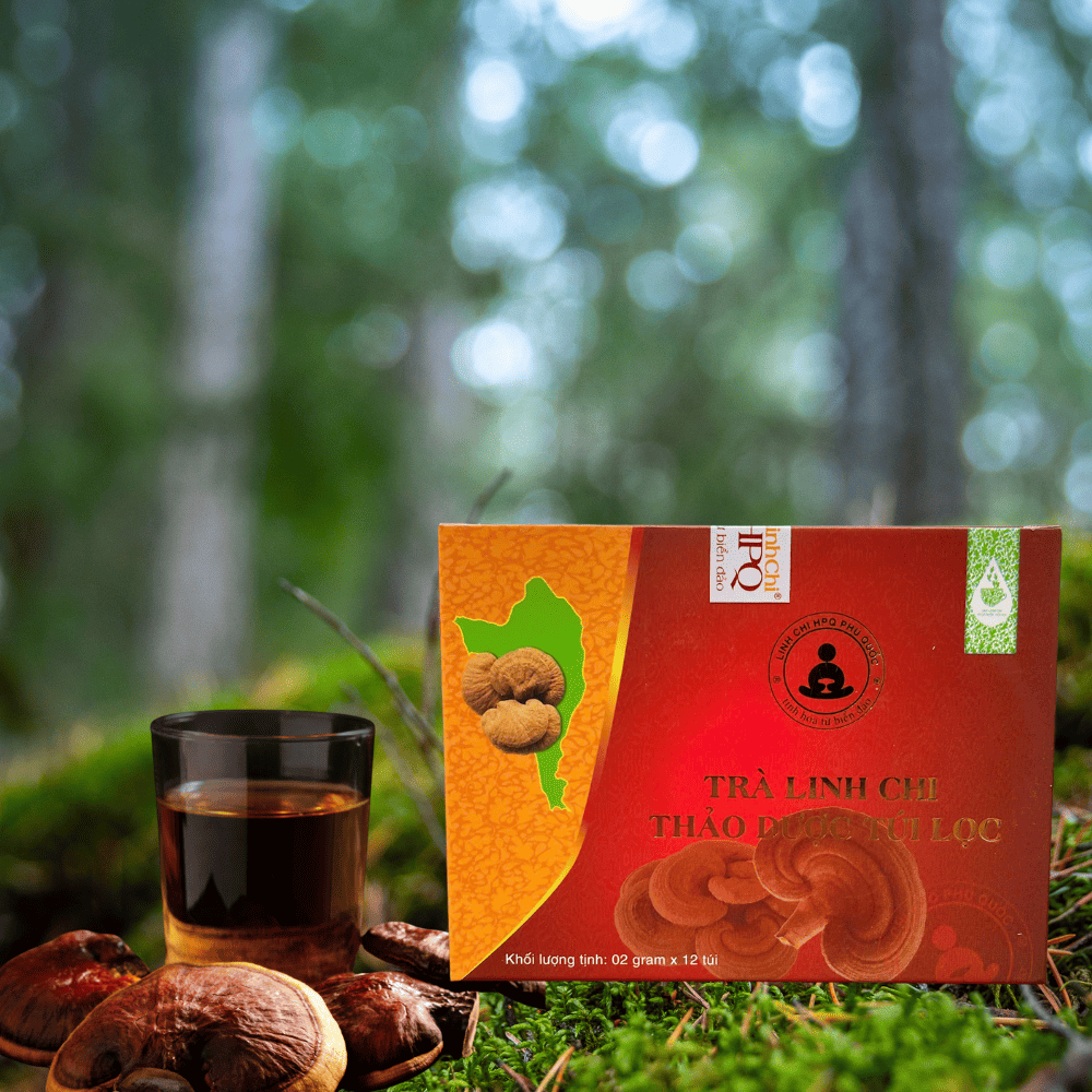 Bí mật Trong Từng Túi Trà Linh Chi Thảo Dược
