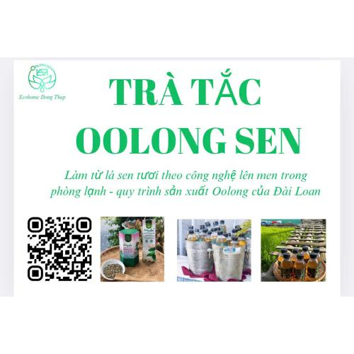 Tinh hoa sen trong từng ngụm trà