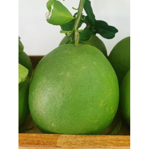 Mua sản phẩm