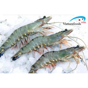 Tôm Sú Cấp Đông (Size 12-15 Con/Kg)